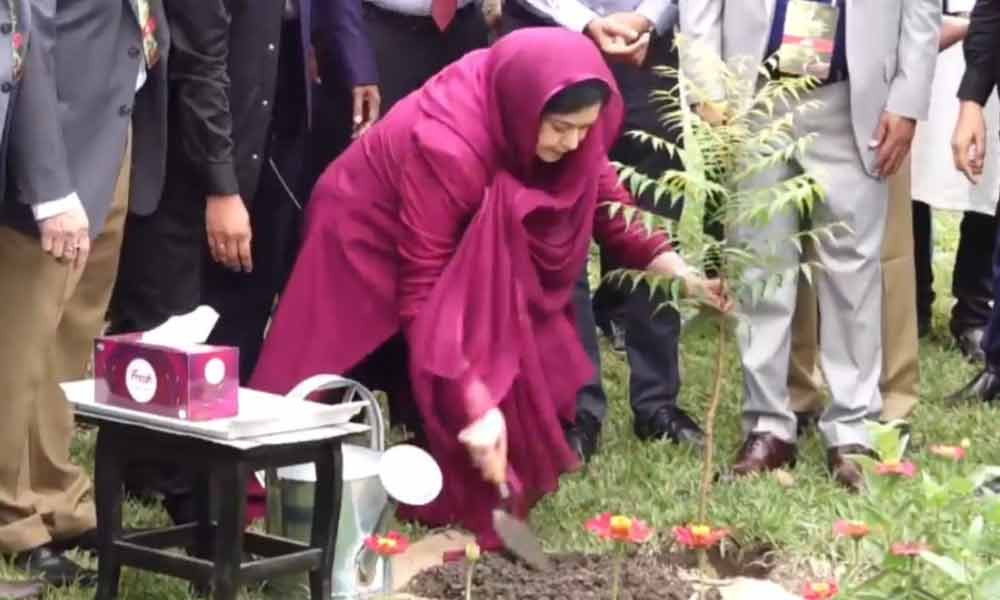 মাসব্যাপী বৃক্ষরোপণ কর্মসূচি উদ্বোধন করলেন ডা. জুবাইদা রহমান
