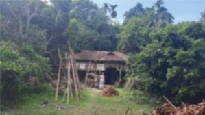 কেমন আছে গফরগাঁওয়ের চার বাসিন্দা