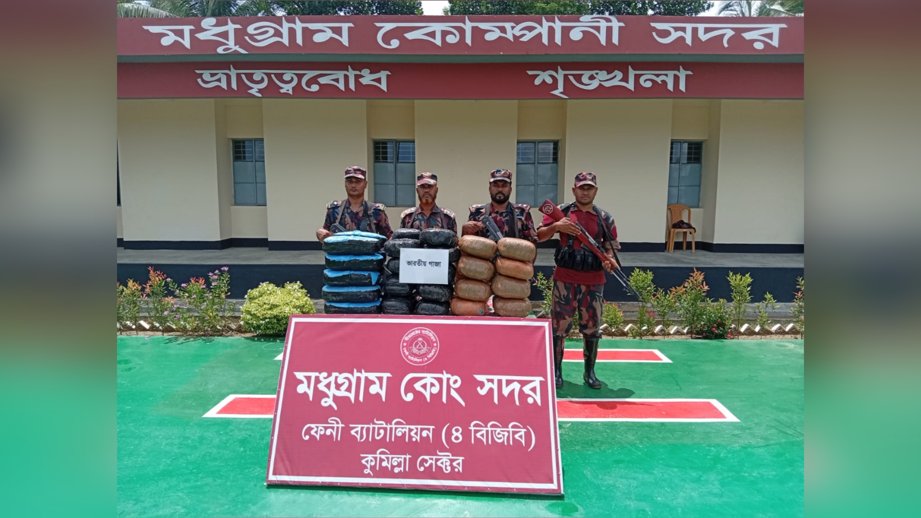 বিজিবির অভিযানে ফেনীতে ৬৩ কেজি গাঁজা উদ্ধার