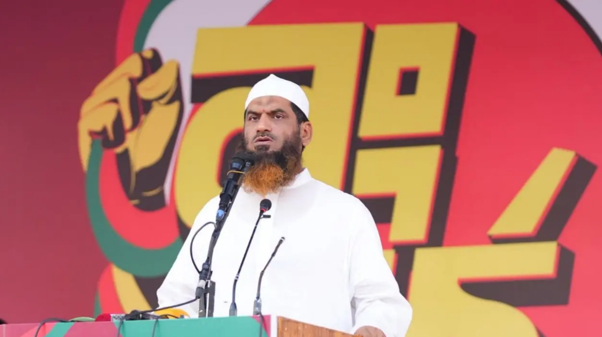 গণভোটের রায় না মানাই সংকটের কারণ: মামুনুল হক