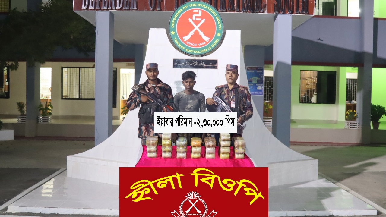 টেকনাফে ২ লাখ পিস ইয়াবাসহ মিয়ানমারের নাগরিক আটক