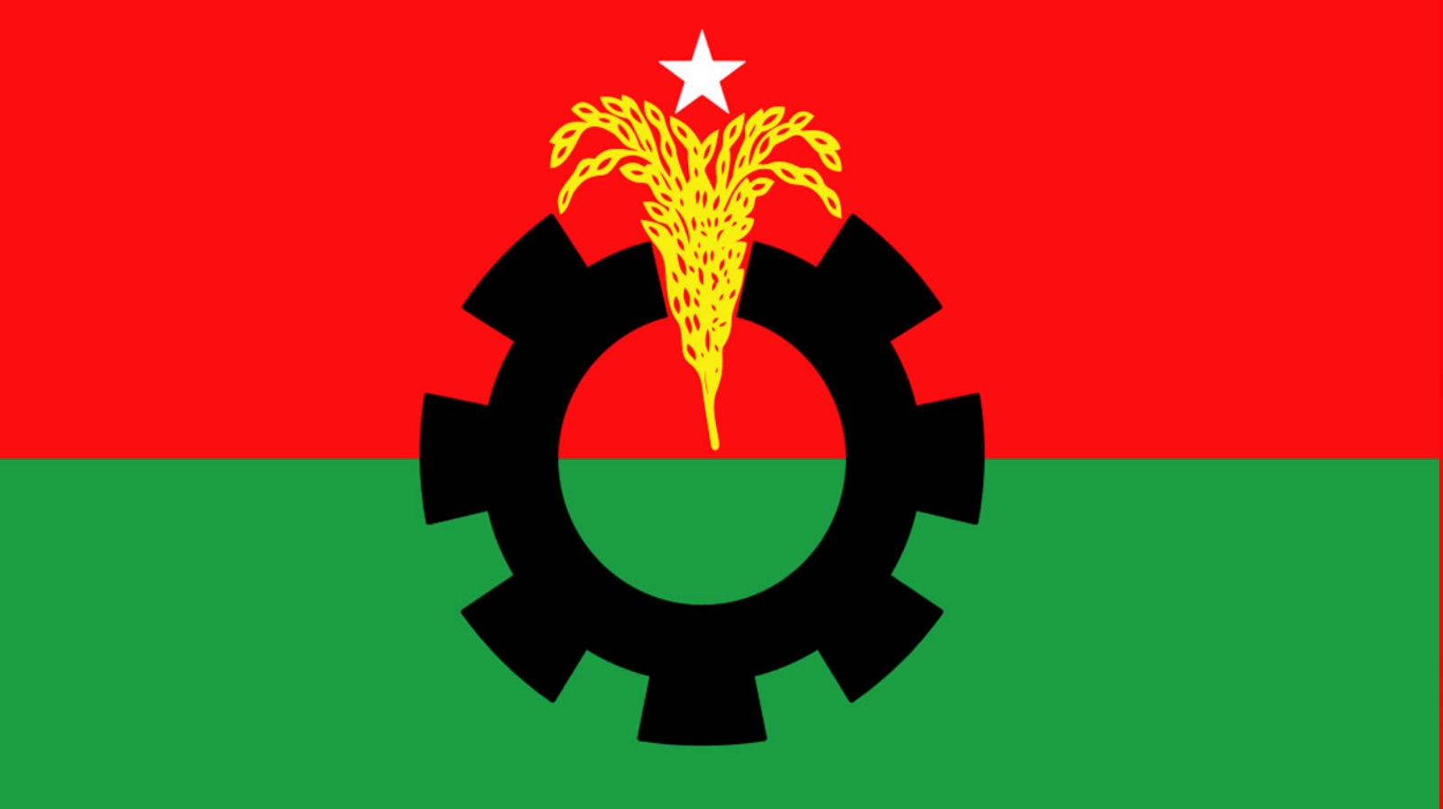 এবার ৮ জেলায় নতুন কমিটি দিল বিএনপি