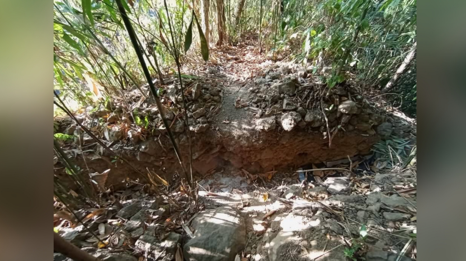 সন্ত্রাস দমনে বিলাইছড়ি ও পার্শ্ববর্তী এলাকায় সেনাবাহিনীর সফল অভিযান পরিচালনা