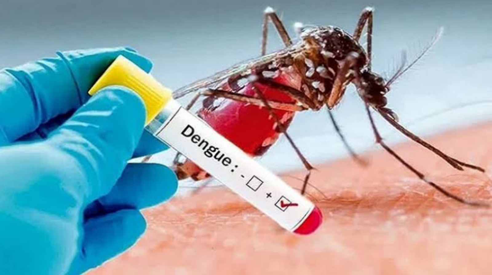 ডেঙ্গুতে আক্রান্ত আরও ২৯ জন হাসপাতালে