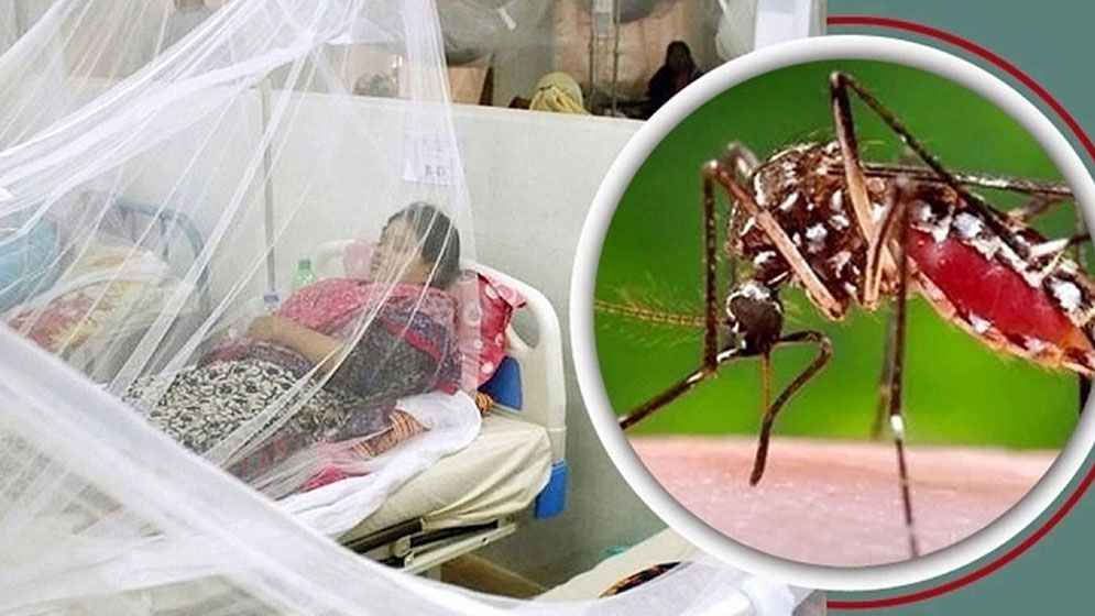 গত ২৪ ঘণ্টায় বছরের সর্বোচ্চ ডেঙ্গু রোগী হাসপাতালে ভর্তি, মৃত্যু ১