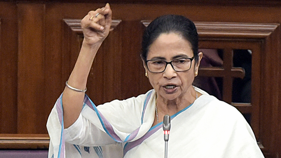 বাংলা বললেই জোর করে বাংলাদেশে পাঠানো হচ্ছে: ক্ষোভ মমতার
