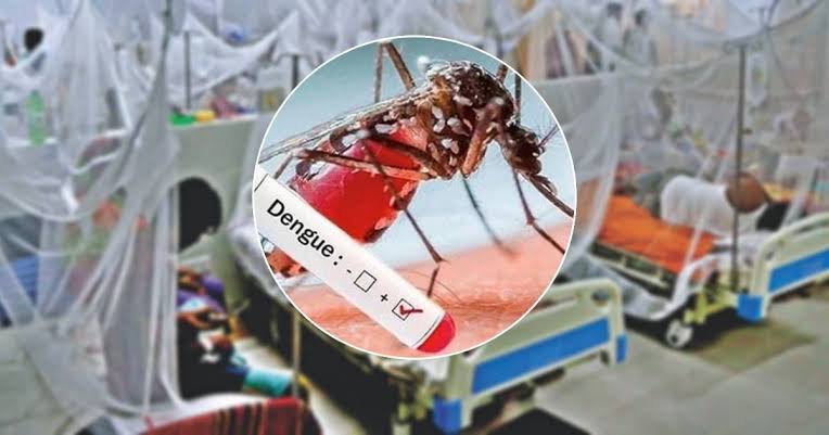 ডেঙ্গুতে আক্রান্ত হয়ে আরও ২০৪ জন হাসপাতালে ভর্তি