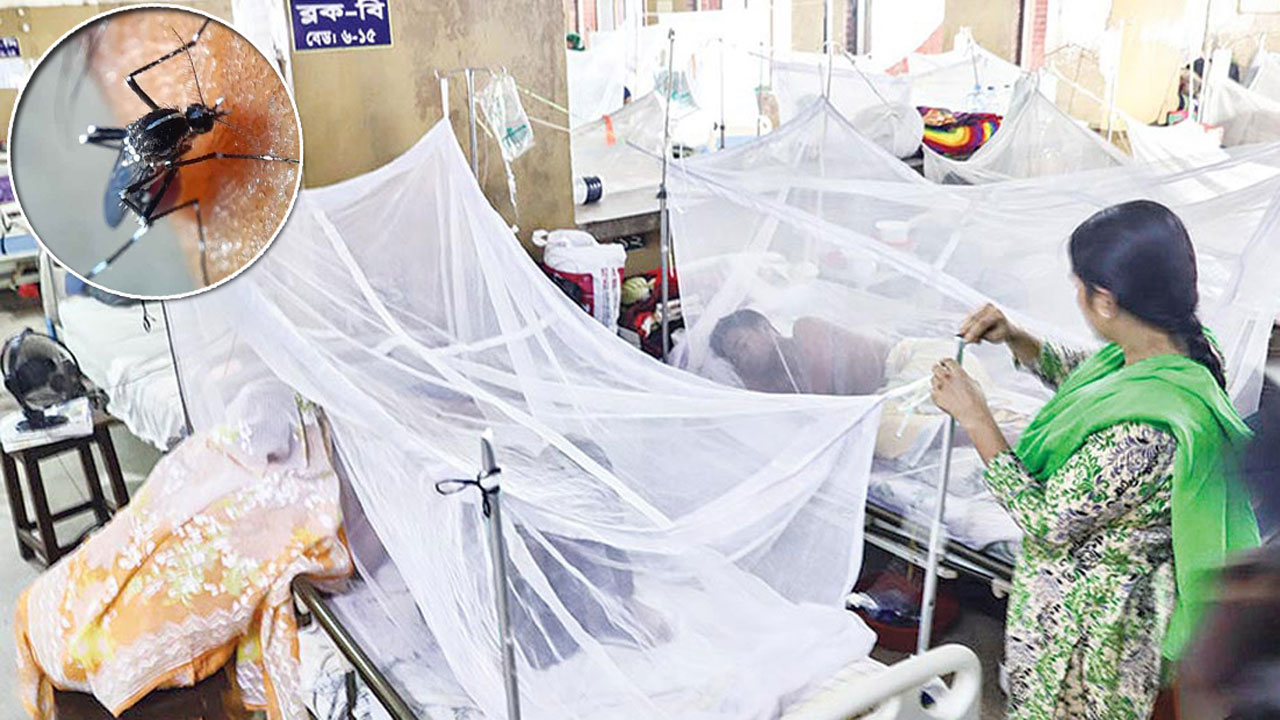 ডেঙ্গুতে একদিনে হাসপাতালে ভর্তি ৪১০