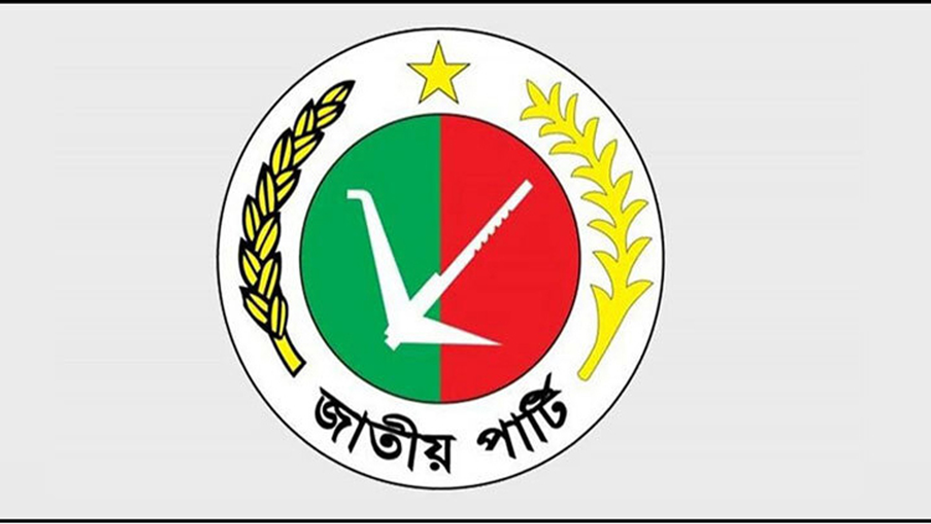 ৩০০ আসনের একটিও পায়নি জাতীয় পার্টি