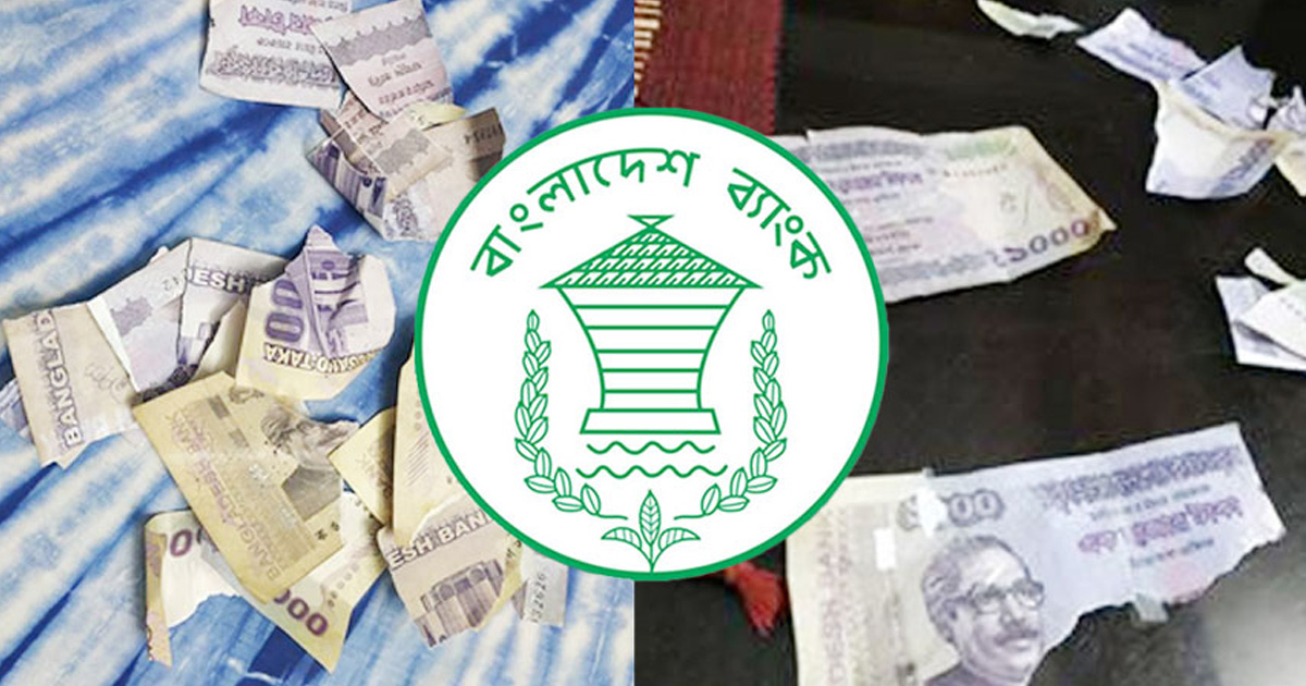 ছেঁড়া-ফাটা নোট নিয়ে কেন্দ্রীয় ব্যাংকের নতুন সিদ্ধান্ত