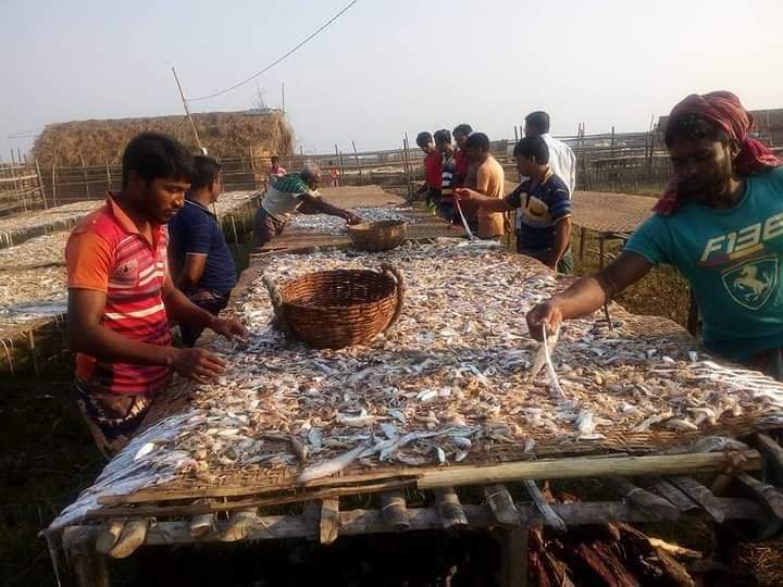 সাতক্ষীরার দুবলা চরের জেলেরা দাদন ব্যবসায়ীদের কাছে জিম্মি 